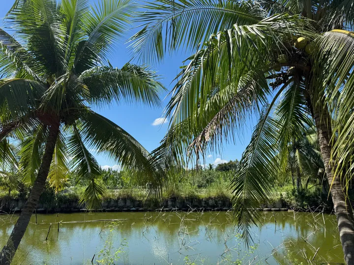 KHÔNG MUA CĂN NÀY - THÌ MUA CĂN NÀO - THIẾT KẾ CỰC ĐẸP 3PN - VIEW HỒ SINH THÁI (MS480)